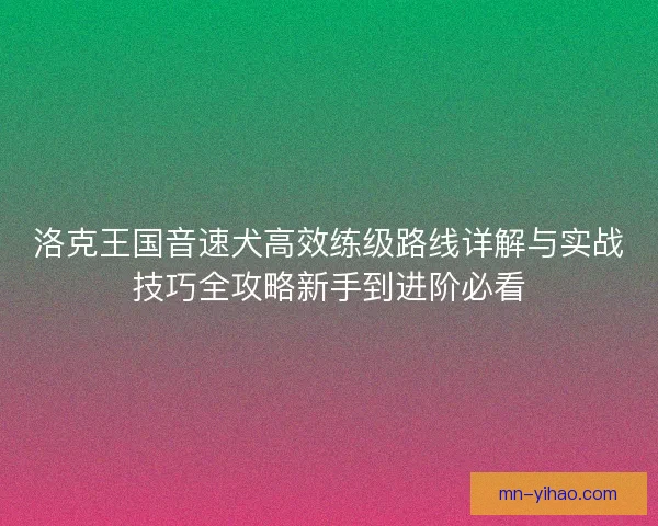 洛克王国音速犬高效练级路线详解与实战技巧全攻略新手到进阶必看